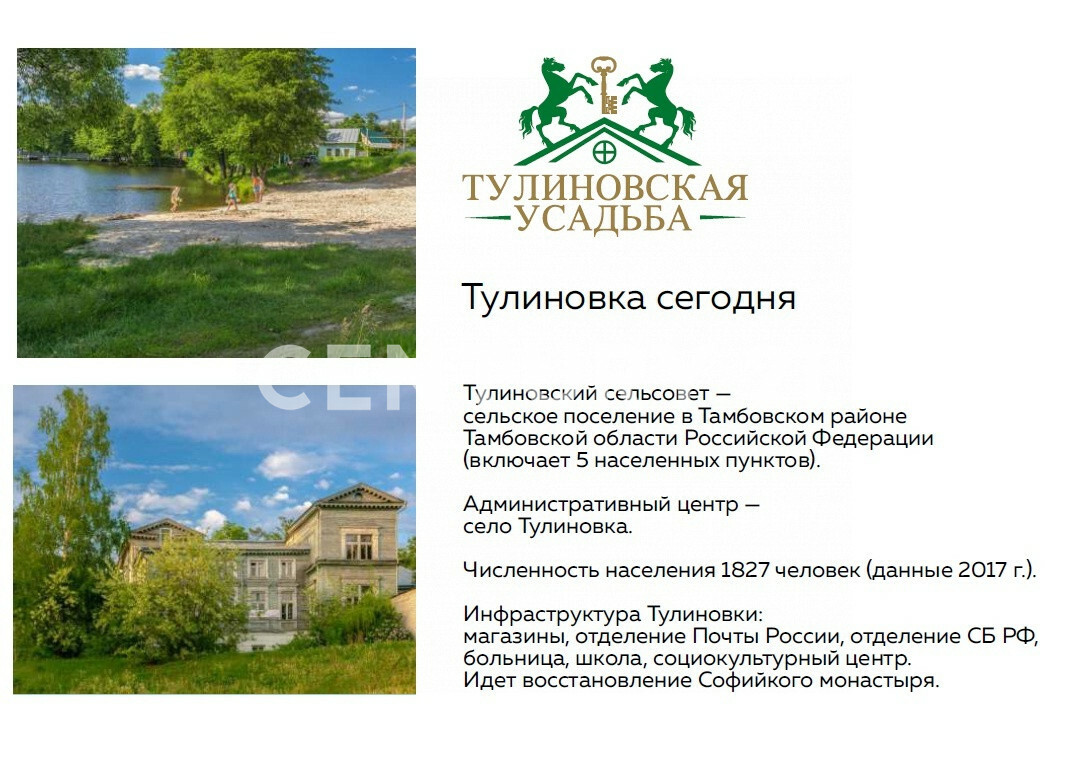 Тулиновка тамбовская область карта