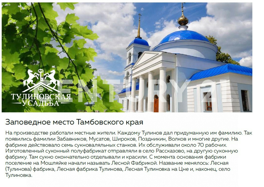 Тулиновка тамбовская область карта